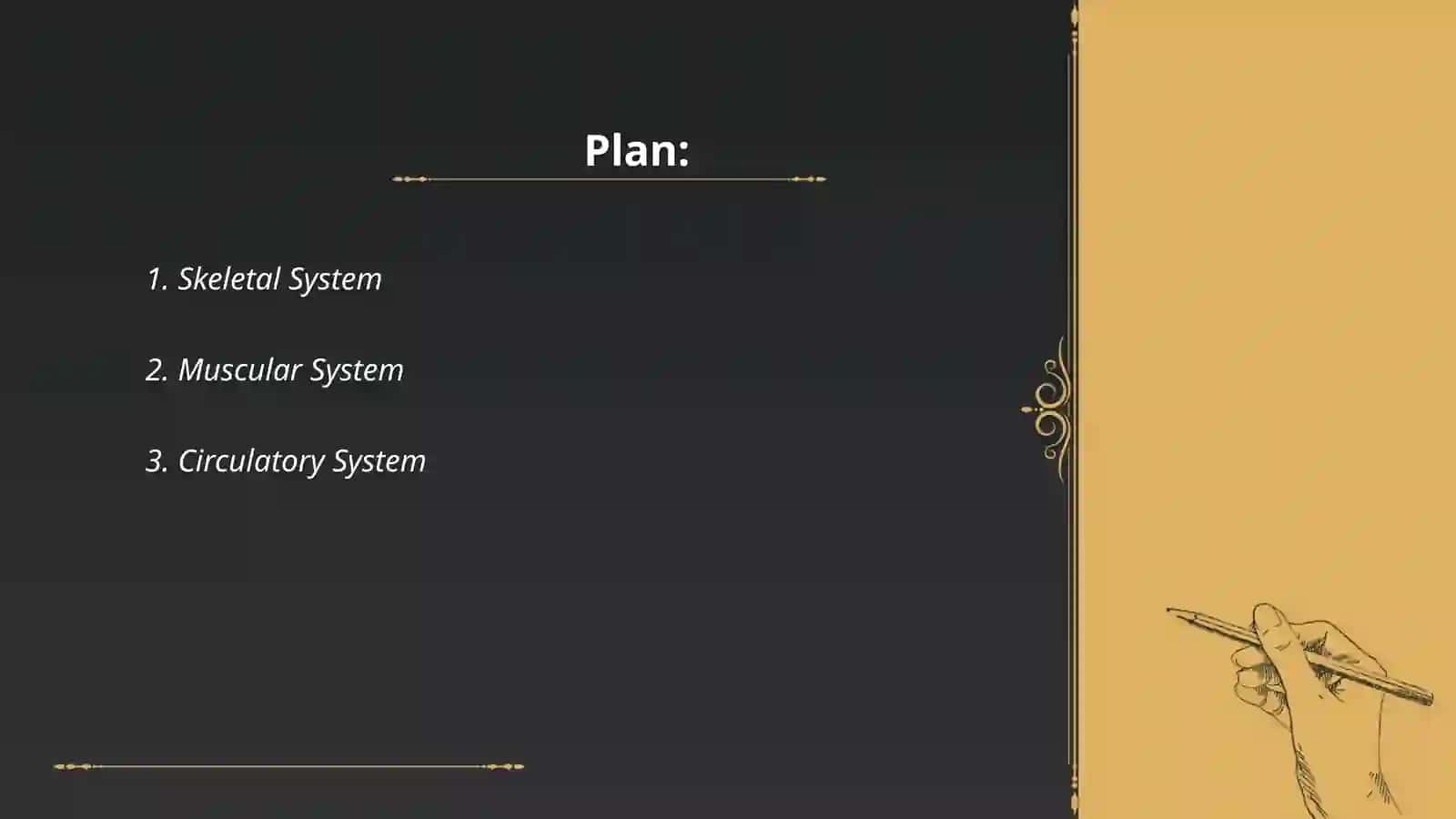 System of the Human Body 2