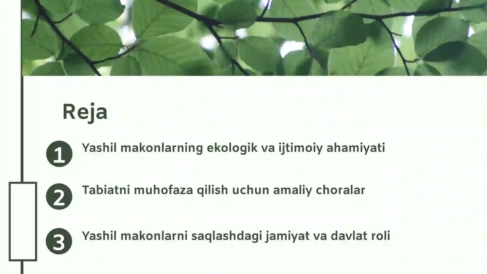 Yashil makonlarning ekologik va ijtimoiy ahamiyati 2
