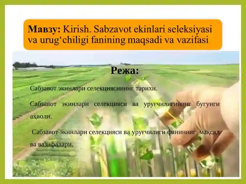 Сабзавот экинлари селекцияси 2