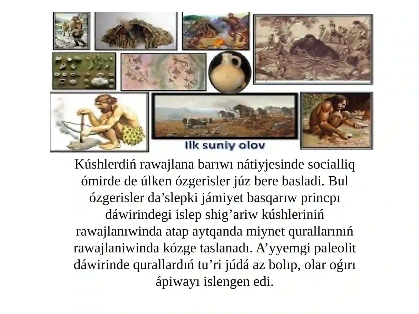 Dáslepki ruwdin’ ulıwma qásiyetleri 2