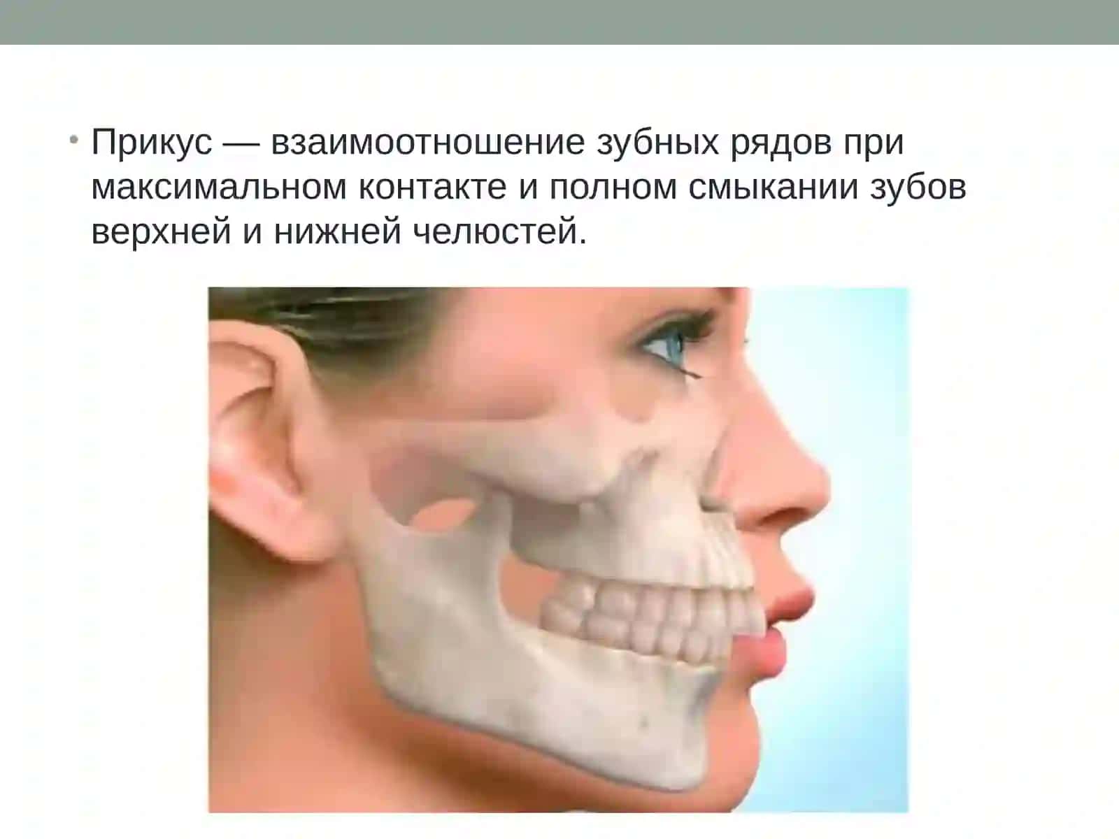 Прикусы. Виды патологических прикусов 2