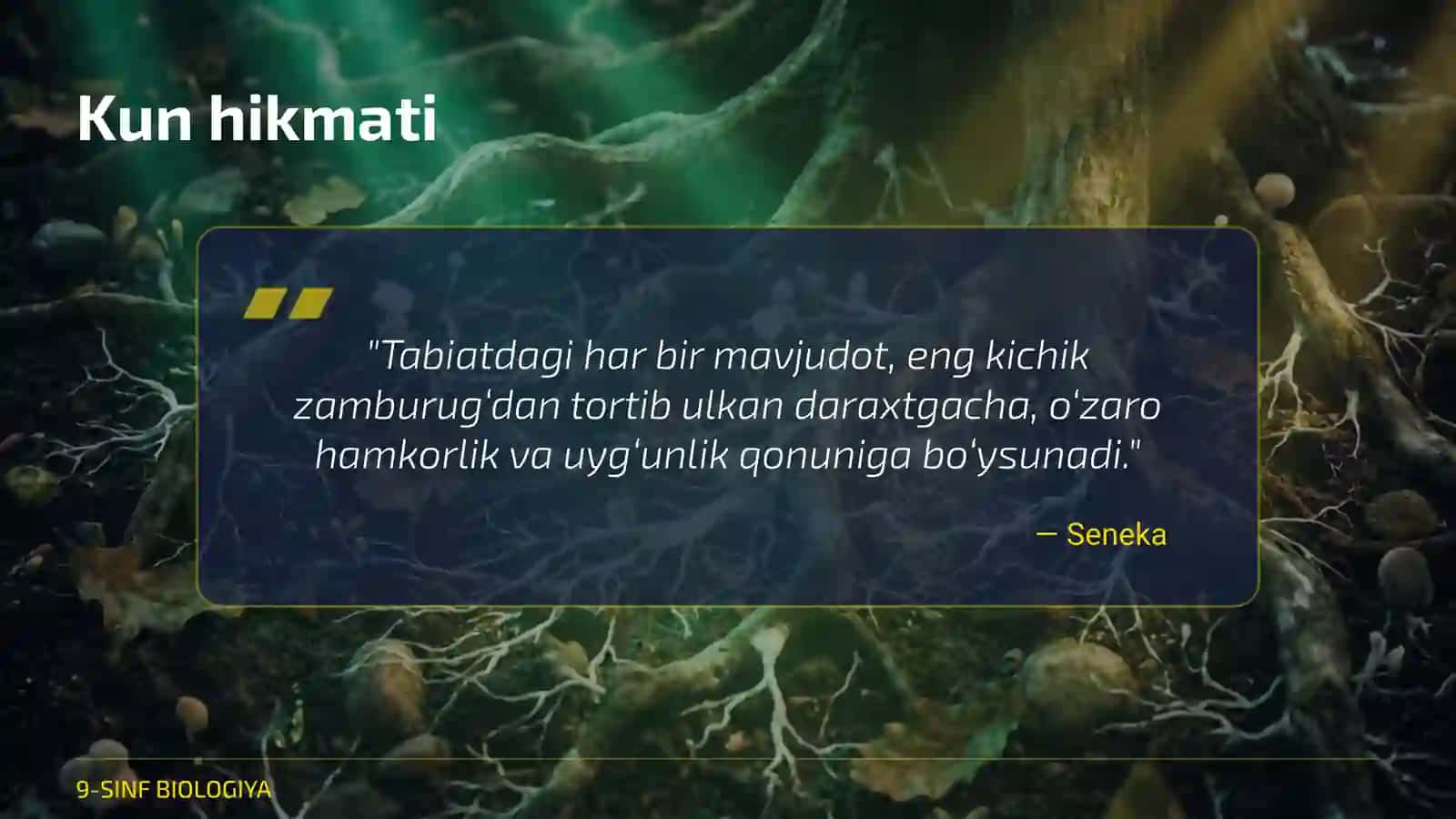 Zamburug‘lar dunyosi 2