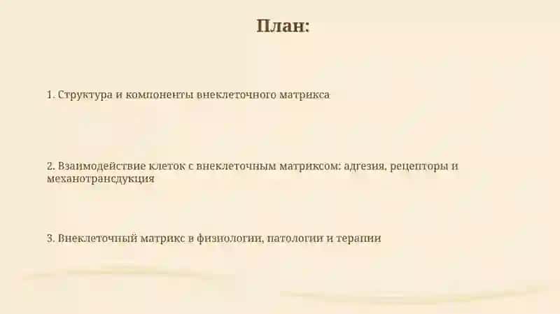 Взаимодействие между клеткой и внеклеточным матриксом 2