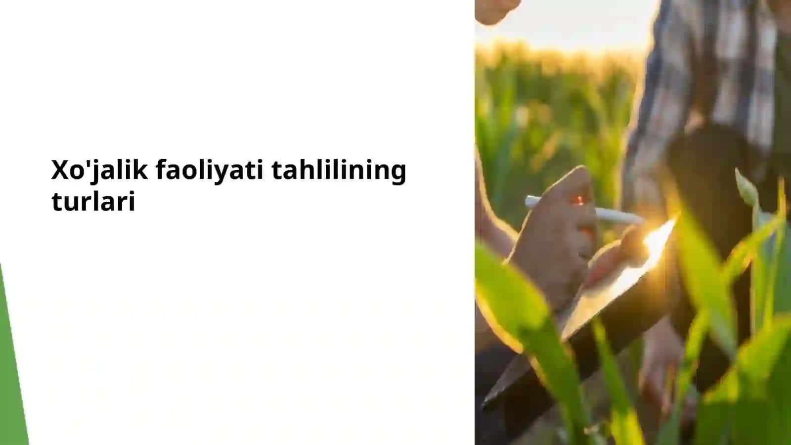 Xo‘jalik faoliyati tahlili 2