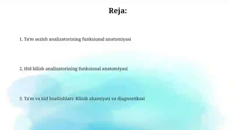 Ta'mvahidbilish analizatorlarning funksional anatomiyasi 2
