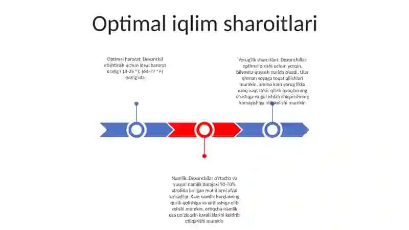 Deqonchilik Joyloshuvi 2