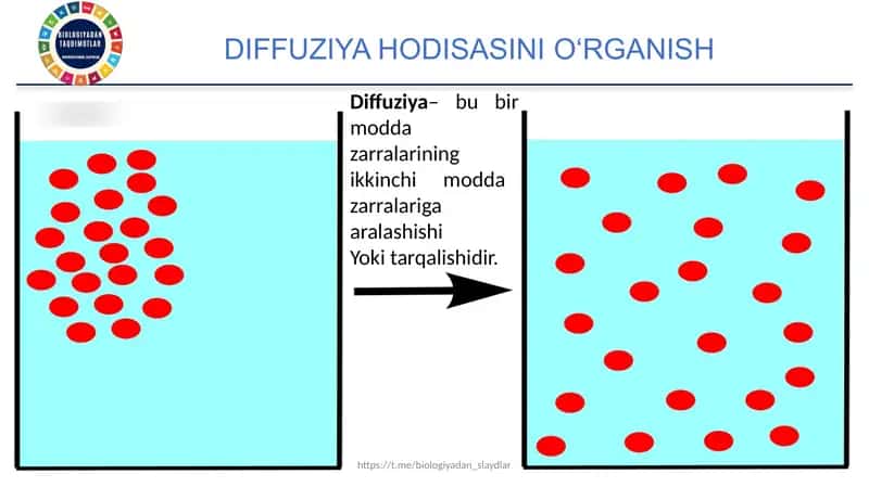 Independent work in English on the topic of Malaria 2