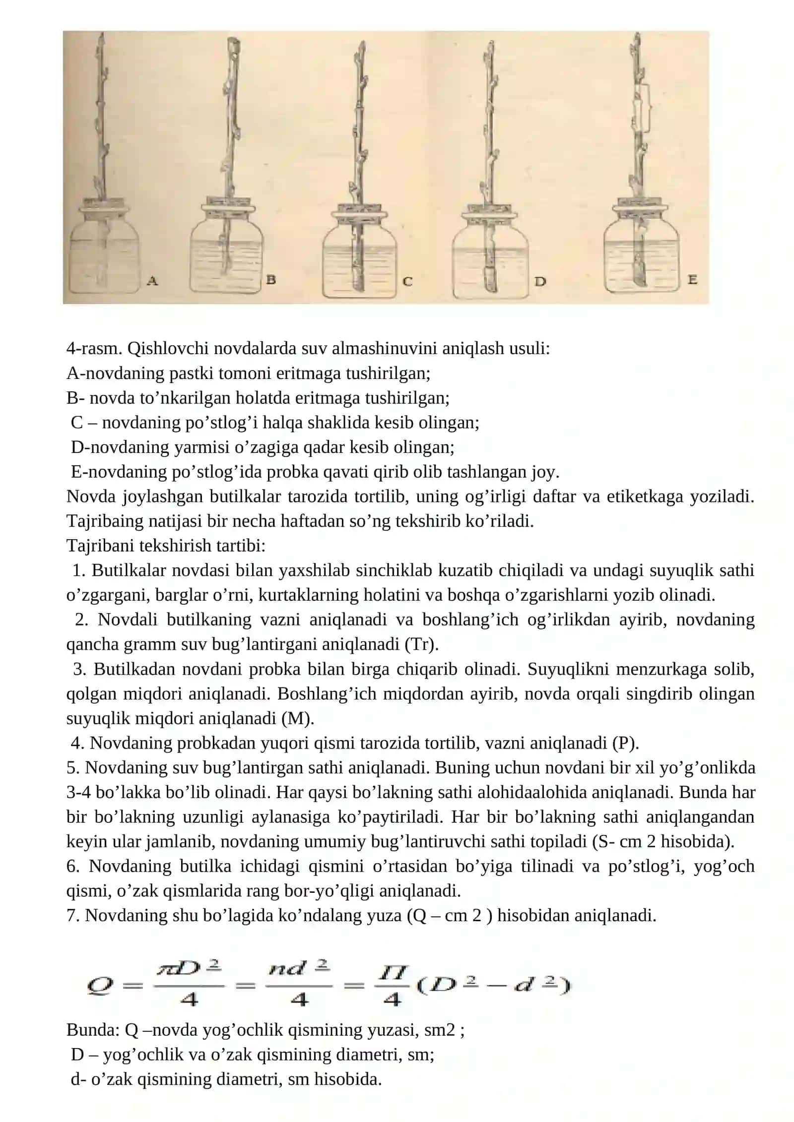 O'SIMLIK NOVDALARIDA SUV ALMASHINUVINI ANIQLASH 2