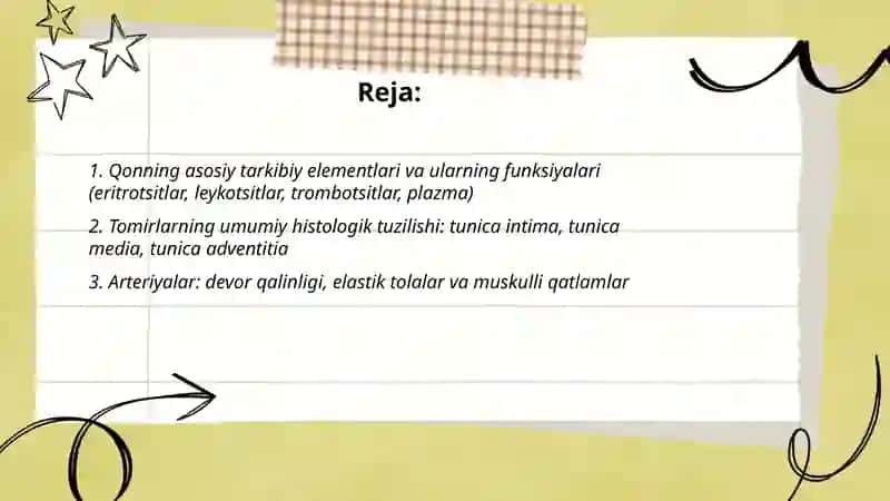 Qon.qon-tomirlarining tuzilishi 2