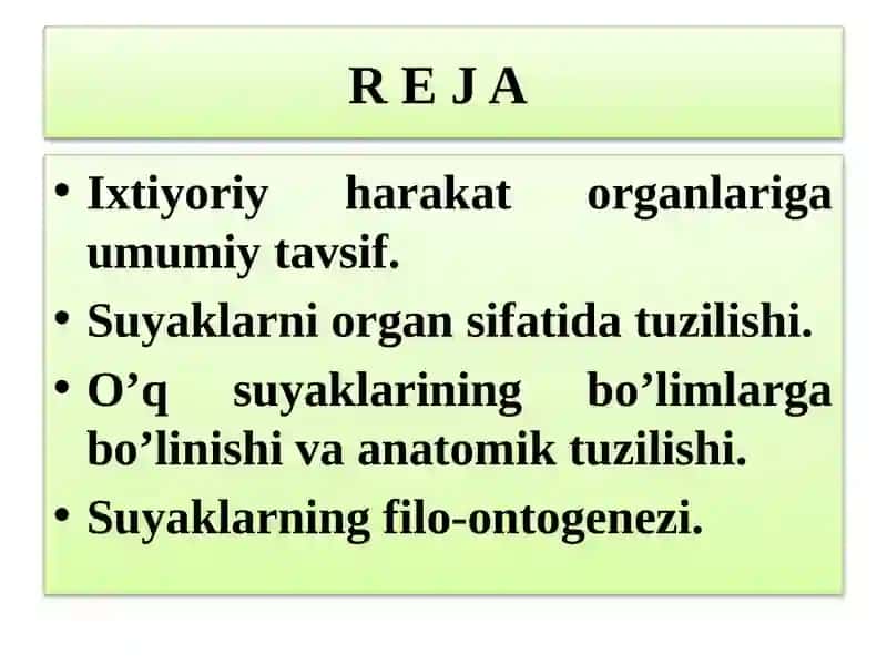 UMUMIY OSTEOLOGIYA 2