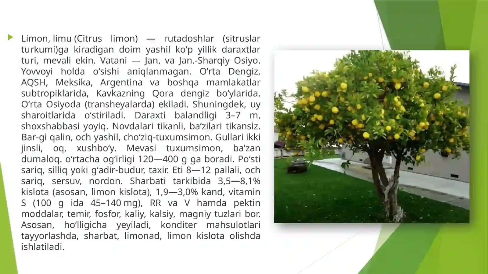 Limonkassaliklar va ularga qarshi kurash 2