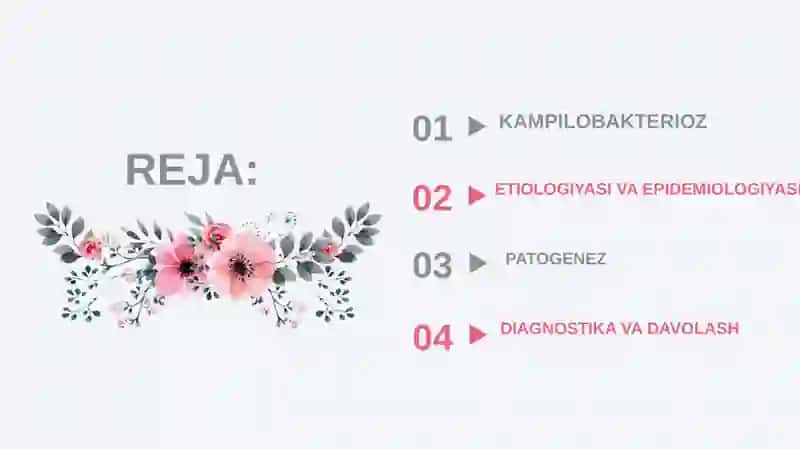 Kampilobakterioz. Yuqumli kasalliklar 2