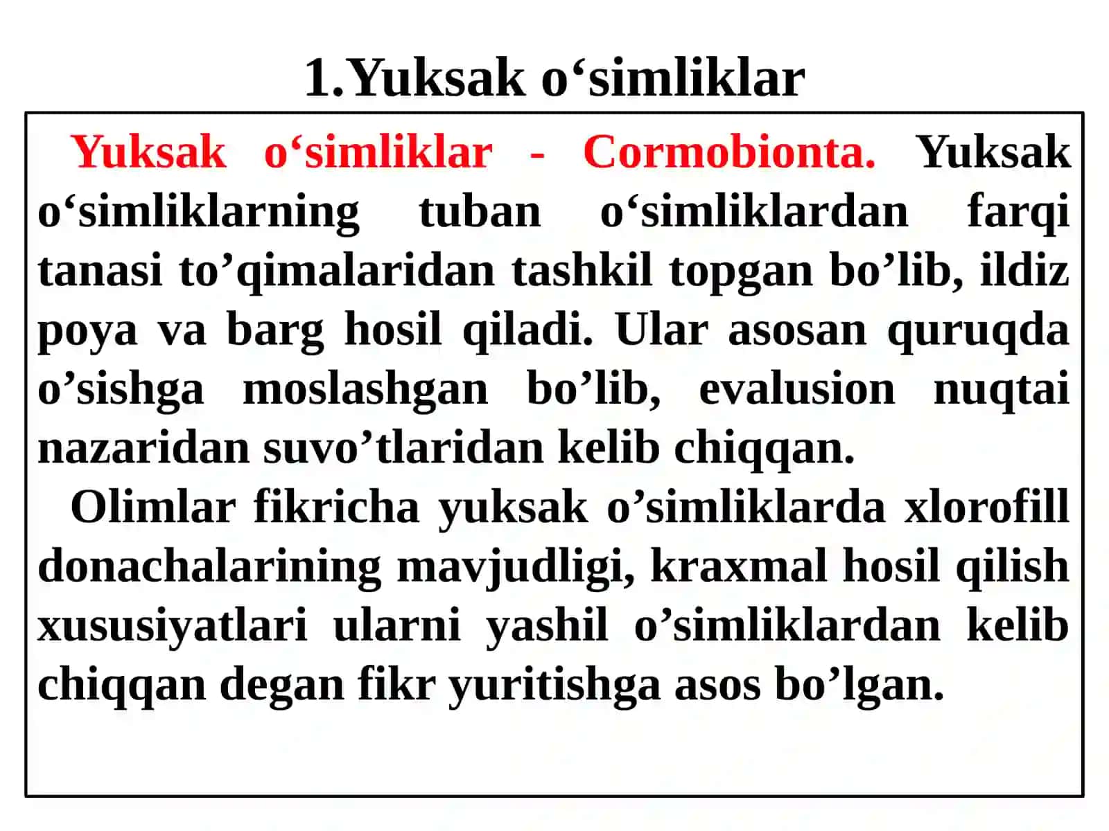 Yuksak o'simliklar 2