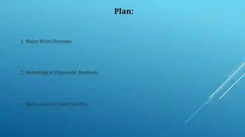 Brain structure and diseases 2