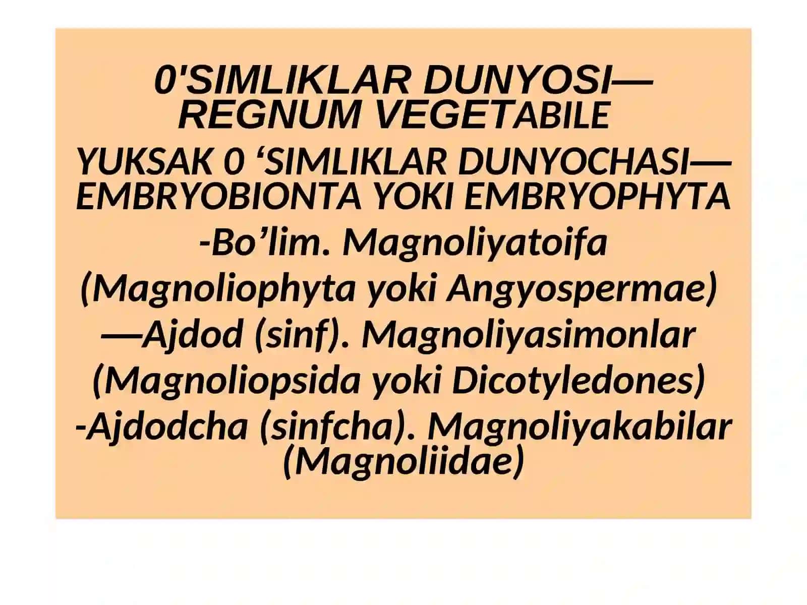 Zubtrum Turkumi 2