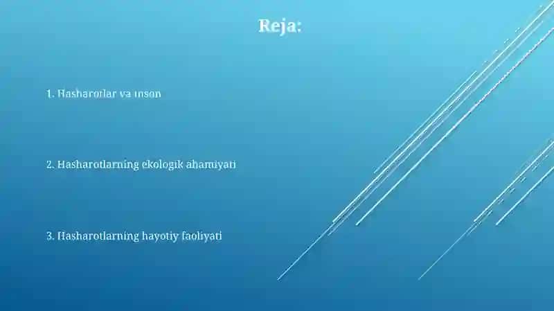 Daryolarning hayotiy faoliyati 2