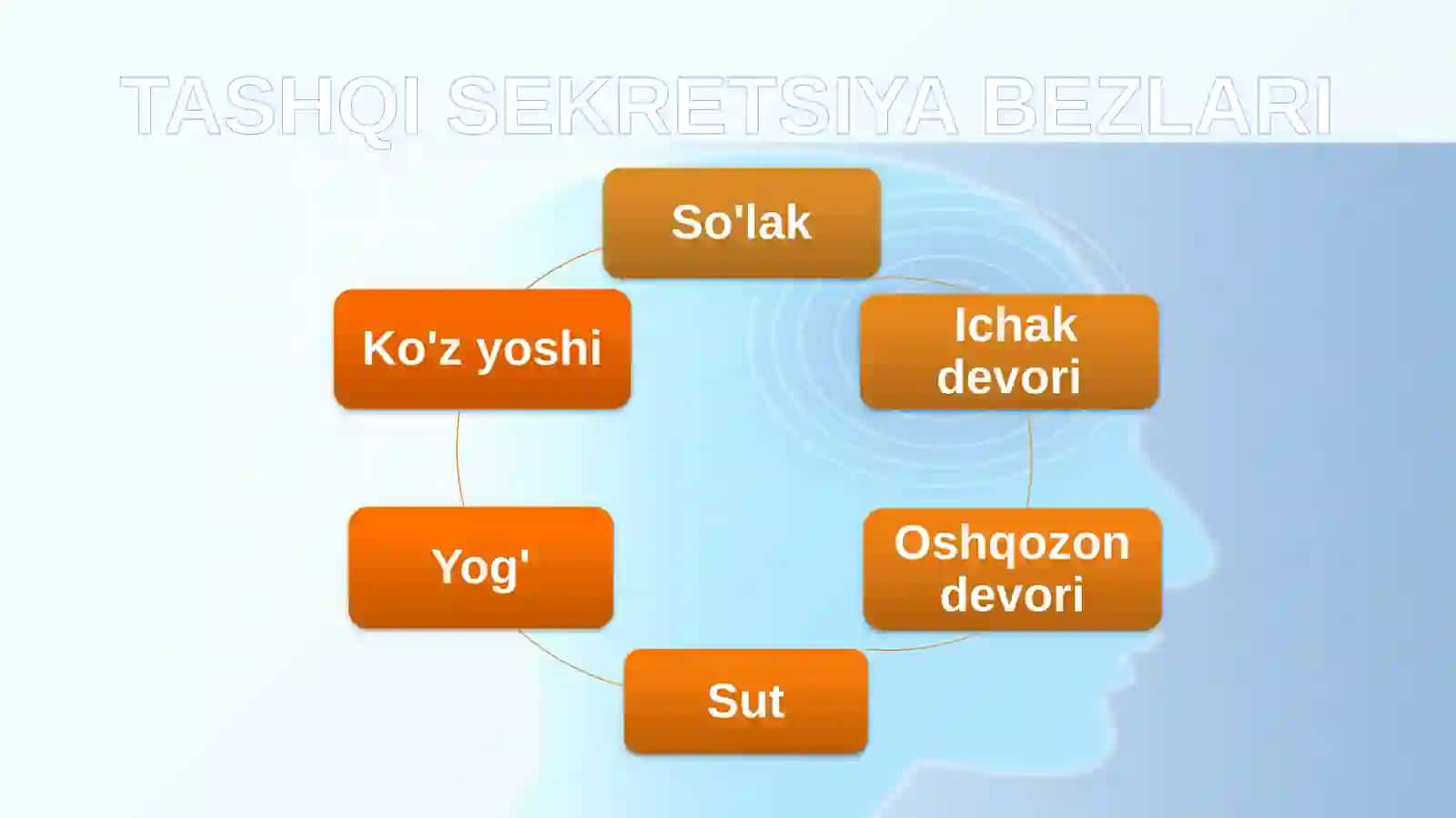 TASHQI SEKRETSIYA BEZLARI 2