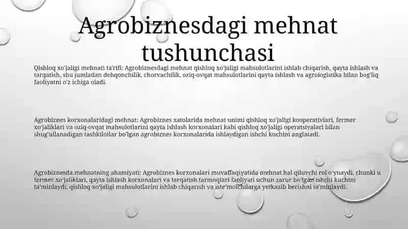 Agrobiznes Korxonalarida Mehnat Unimi 2
