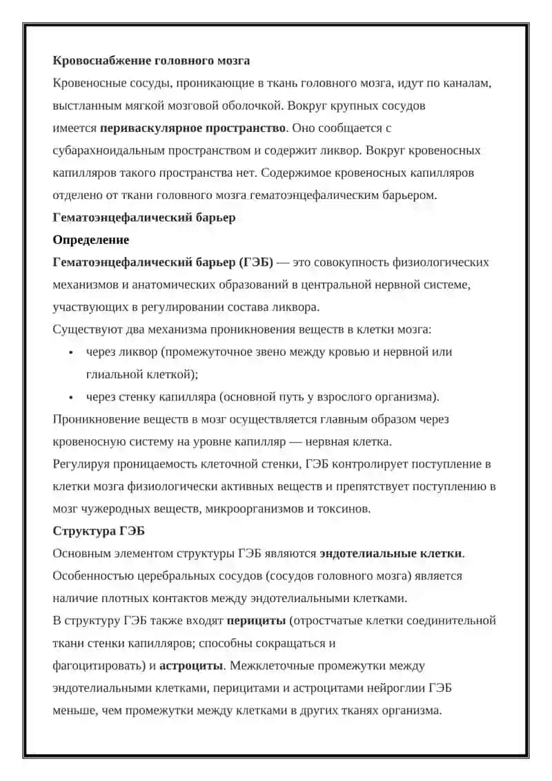Оболочки головного мозга 2