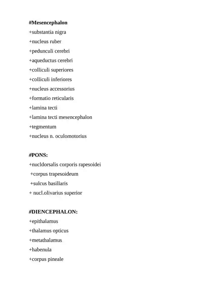 Medulla spinalis 2