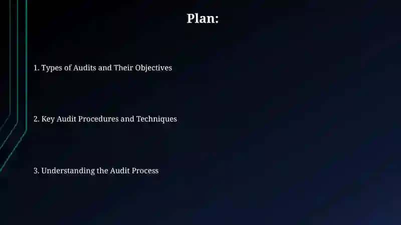 Audit Process and Methodology 2