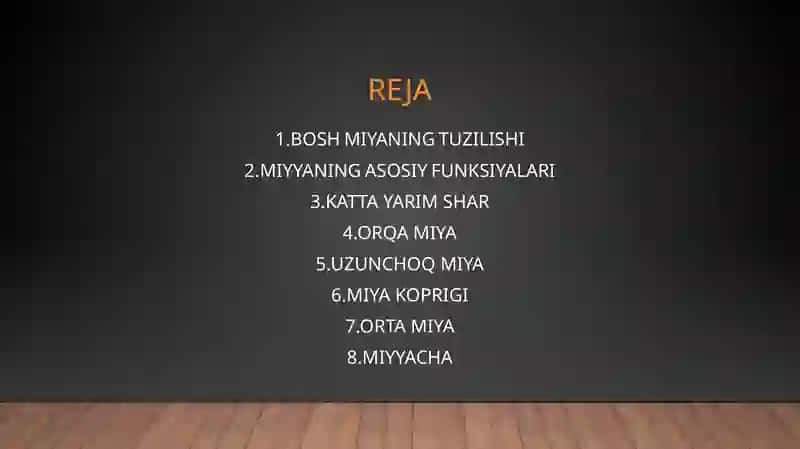 BOSH MIYANING TUZILISHI 2