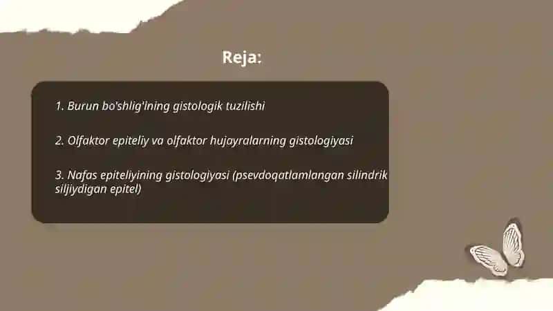 Nafas olish tizimi gistalogiyasi 2