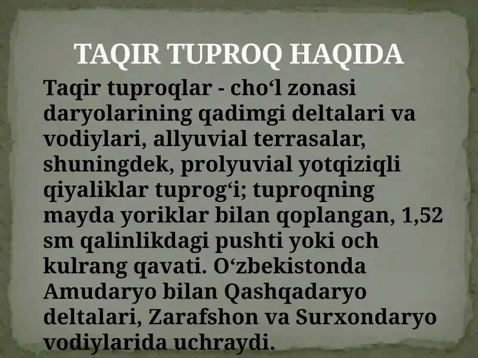 Taqirtuproqlar Oʻzbekistonda 2