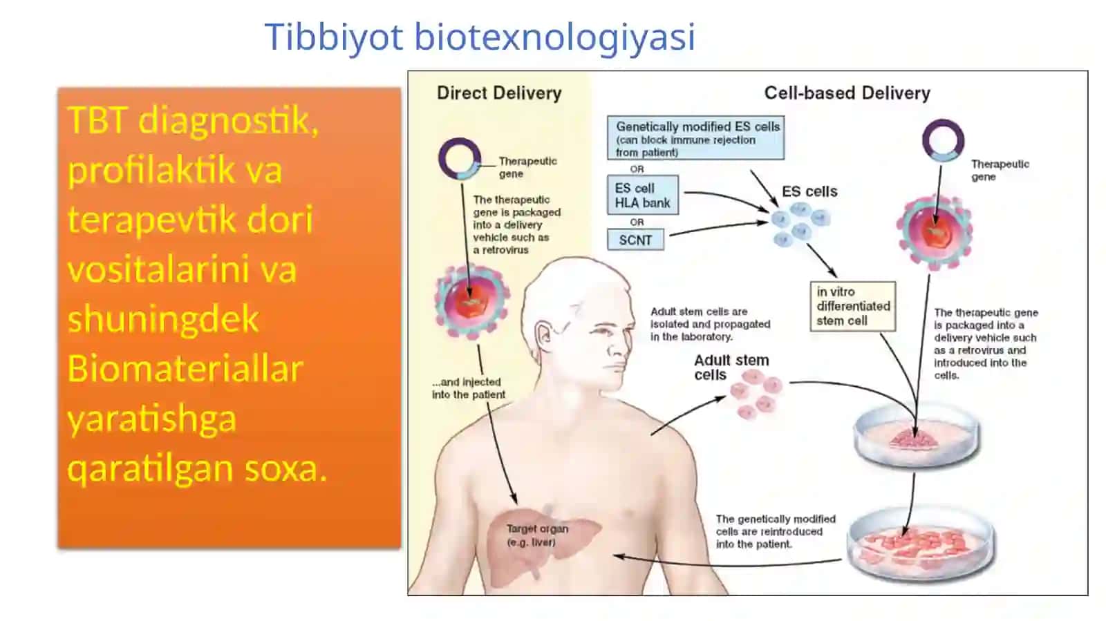 VI. TIBBIYOT BIOTEXNOLOGIYASI 2