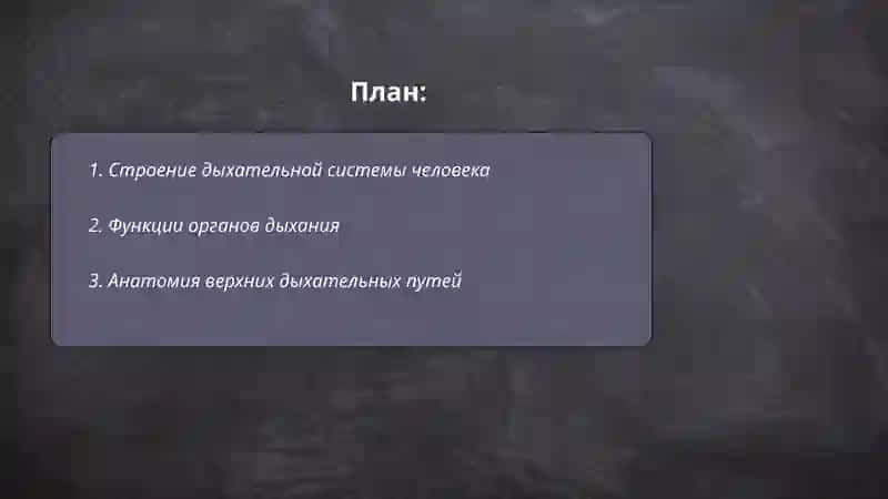 Cистема органов дыхания 2