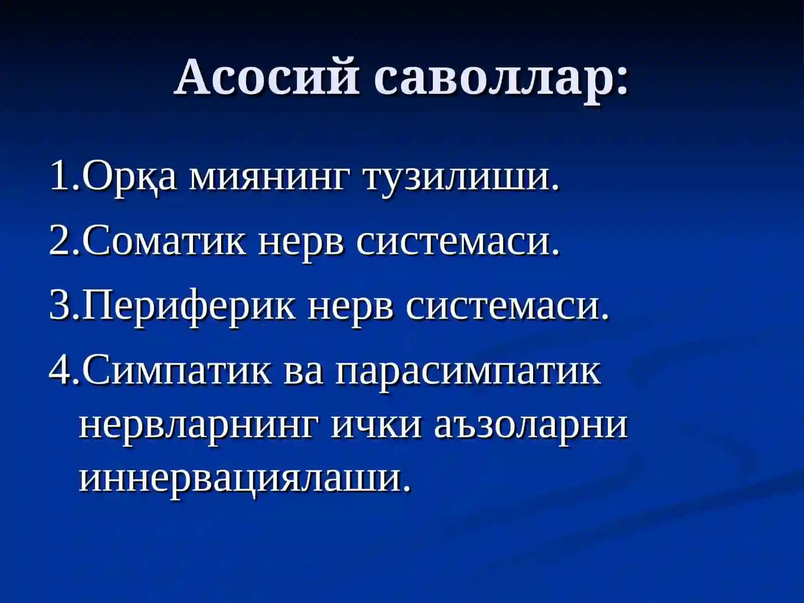 НЕРВ СИСТЕМАСИ 2
