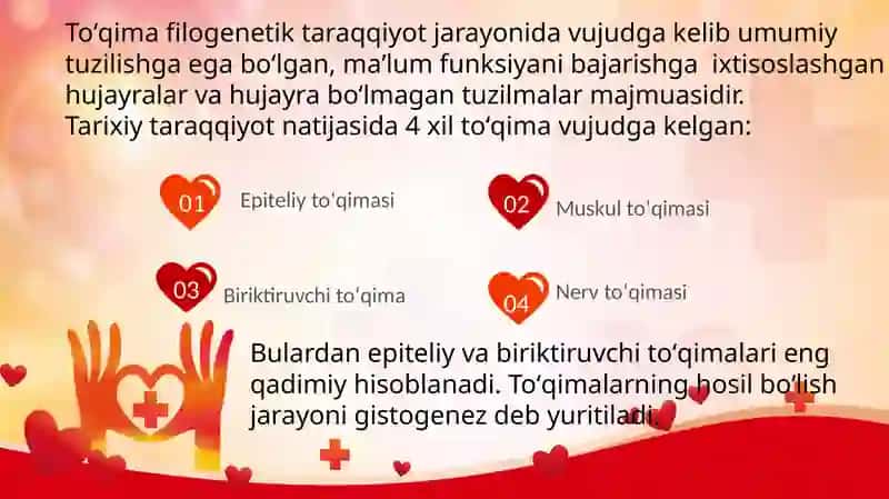Namangan davlat universiteti Tibbiyot fakulteti Pediatriya ishi PED_BU_241-guruh talabasi 2
