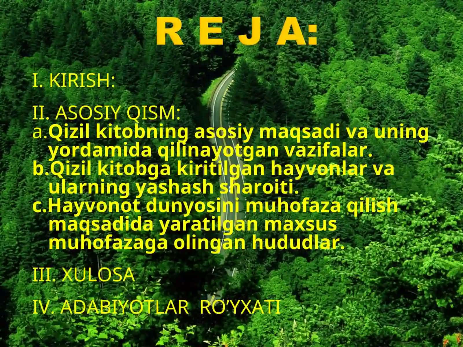 Qizil Kitob 2