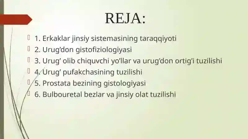 ERKAKLAR REPRODUKTIV SISTEMASI 2