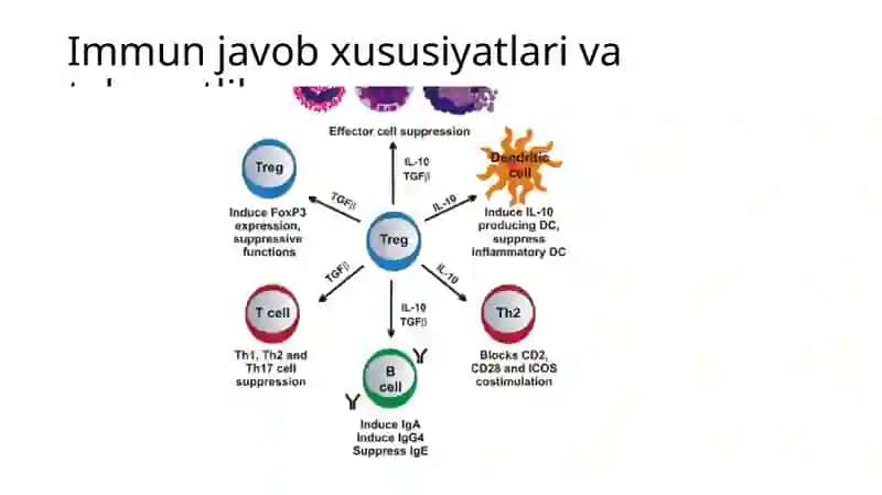 Malekulyar allergologiya asoslari va ASIT terapiya 2
