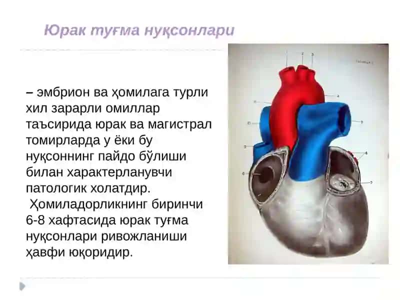 ЮРАК ТУҒМА  НУҚСОНЛАРИ 2