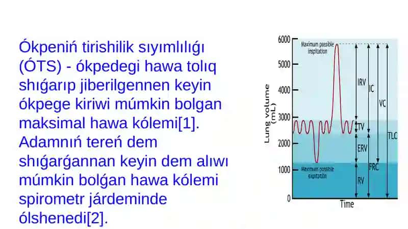 Ókpeniń tirishilik sıyımlılıǵı (ÓTS) 2