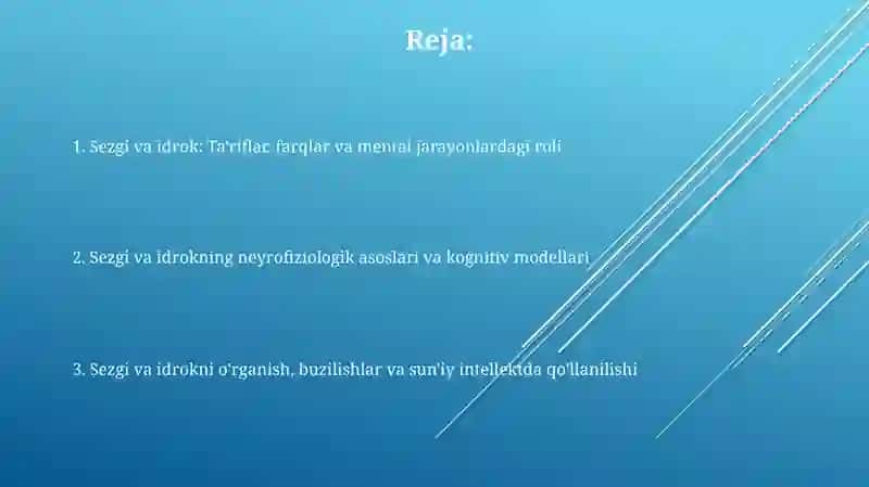 Sezgi va Idrok Ta'riflar 2