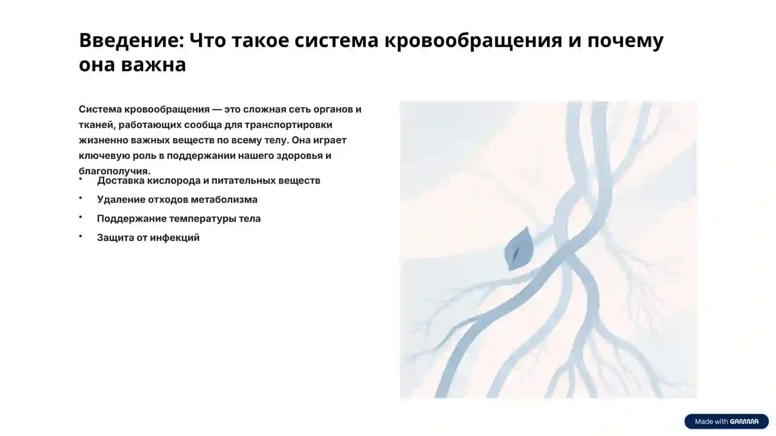 Система кровообращения человека: Загадки и чудеса 2