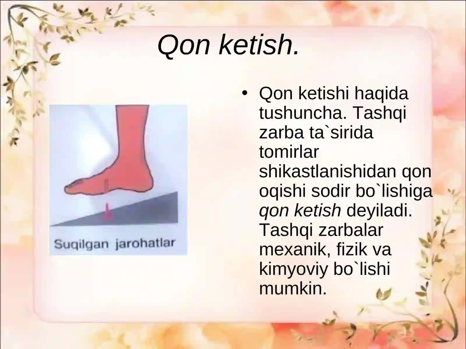 Qon ketish va birinchi tez yordam 2