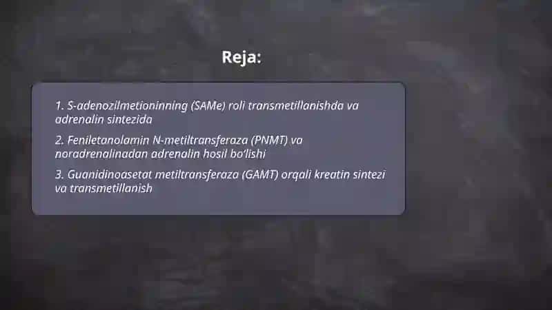 Transemetillanishning ahamiyati 2