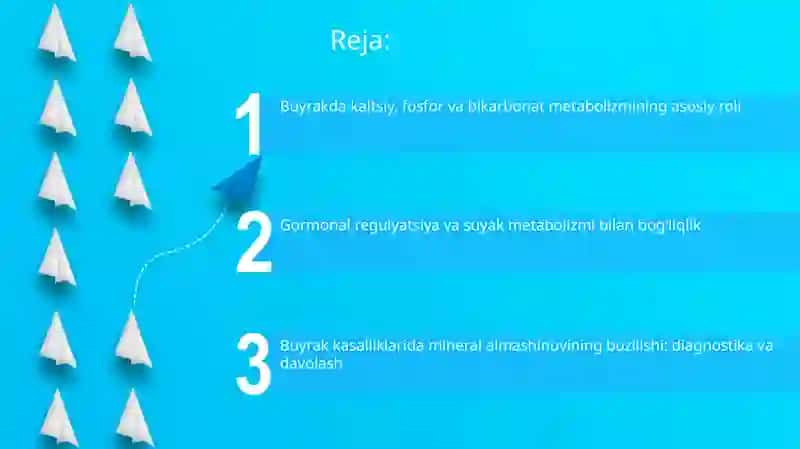 Buyrakning kalsiy,fosfor va bikarbonat almashinuvining ahamiyati 2