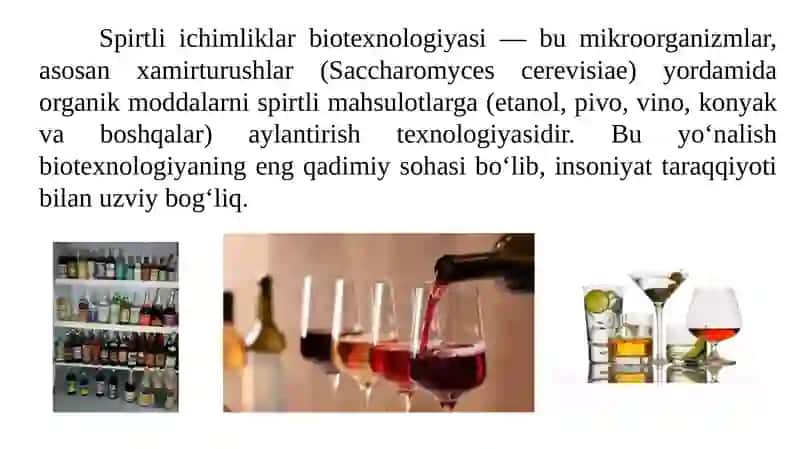 Spirtli ichimliklar biotexnologiyasi 2