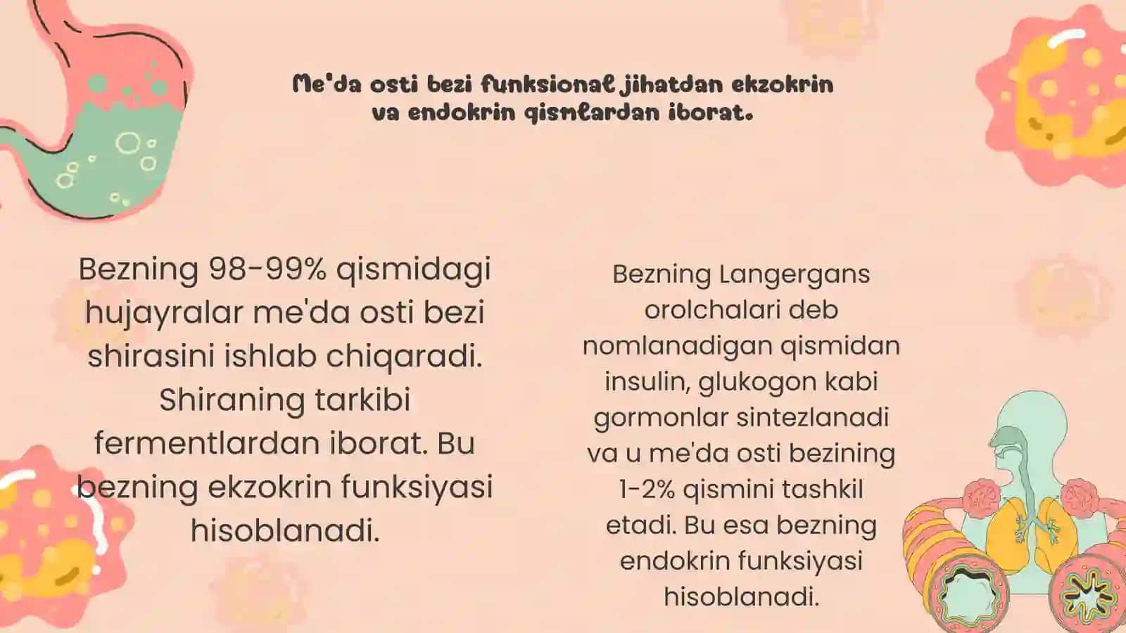 Me’da osti bezi 2