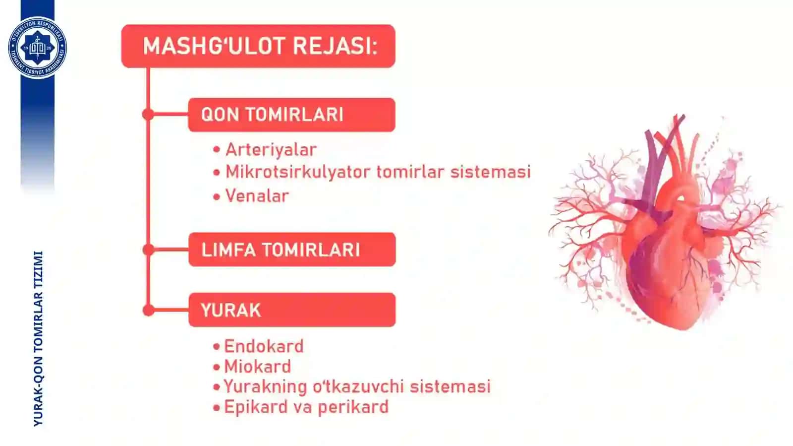 YURAK-QON TOMIRLAR TIZIMI 2