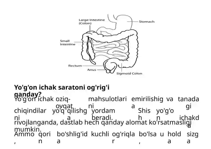 Yo'g'on ichaksaratonio datdayoshik 2