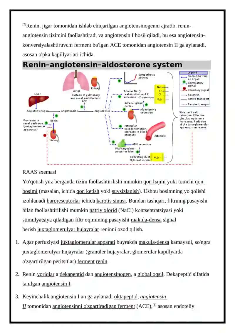 Renin-angiotensin tizimi 2
