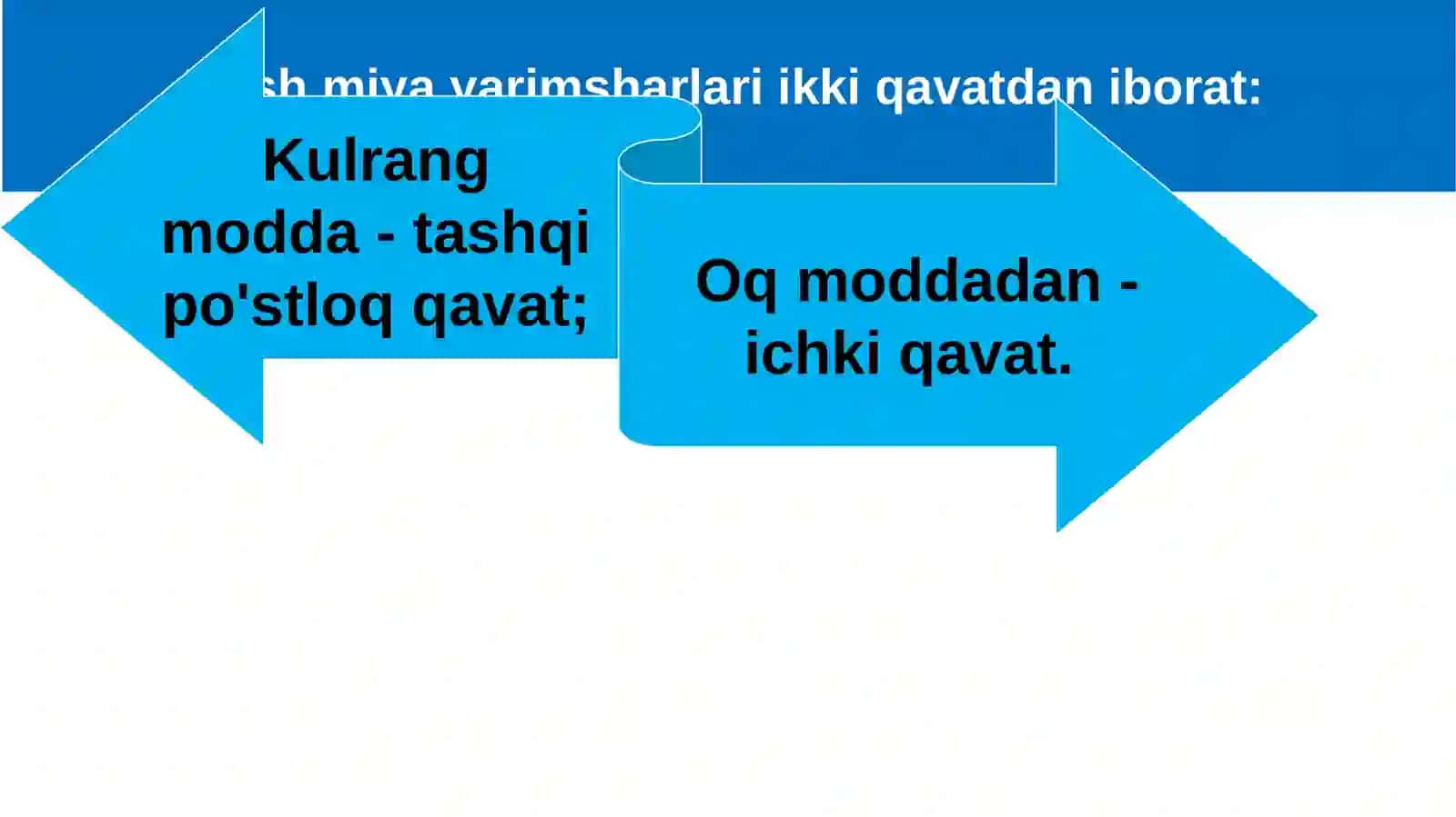 Boshmiyakattayarimsharlariningtuzilishi 2