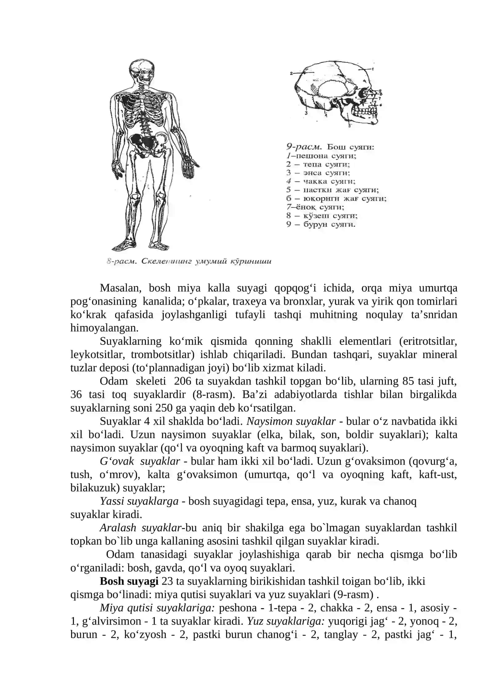 Harakat tayanch tizimi 2