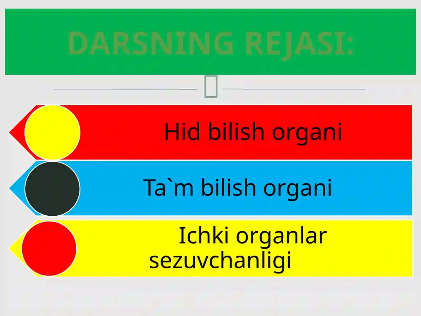 HID BILISH VA TA`M BILISH ORGANLARI 2